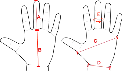palm and finger size measurement